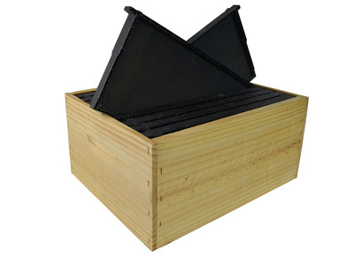 Full Depth RTG Box – Paraffin Dipped w/ 10 30g Waxed Plastic Frames