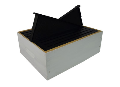 3/4 Depth RTG Box – Standard Painted w/ 10 x Unwaxed Plastic Frames