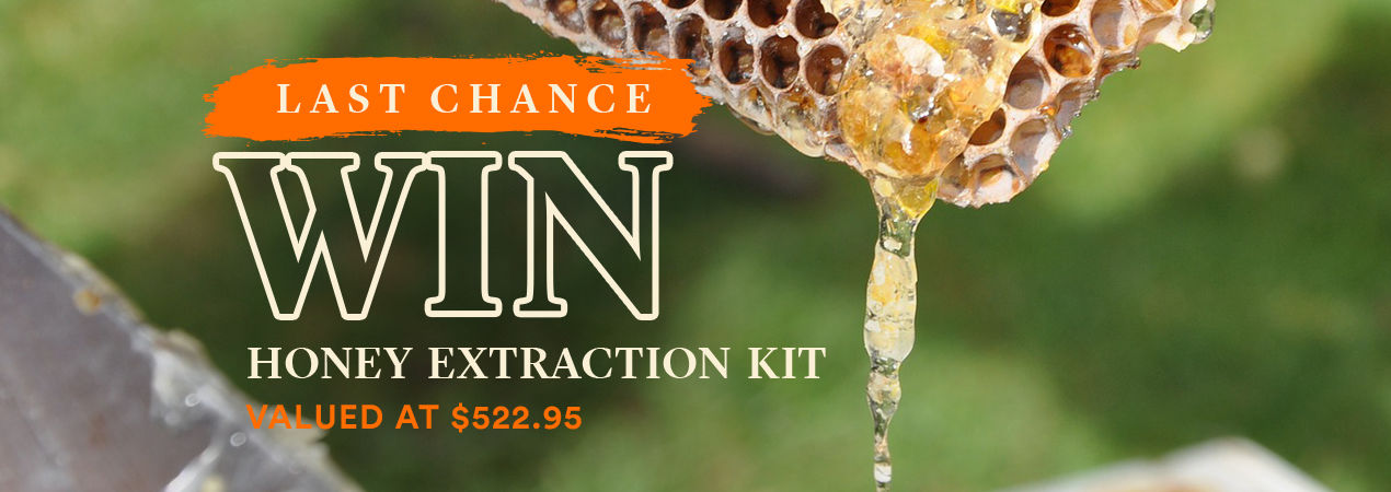 Win a Honey Extraction Kit