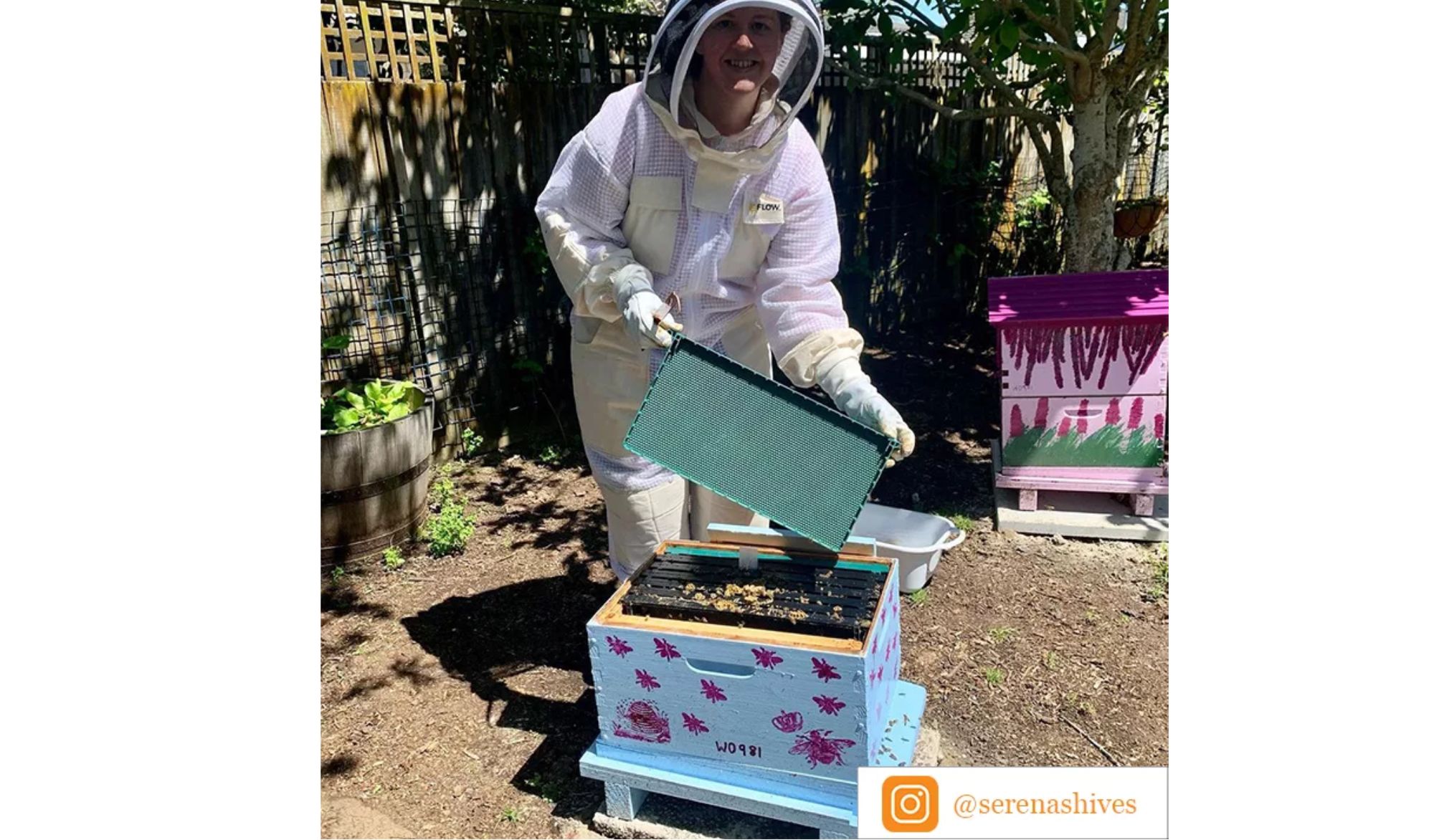 New Zealand Beeswax Ltd – Specialist beeswax processing and manufacturing  company situated in the South Island of New Zealand supplying industries  like beekeeping, cosmetic and pharmaceutical.